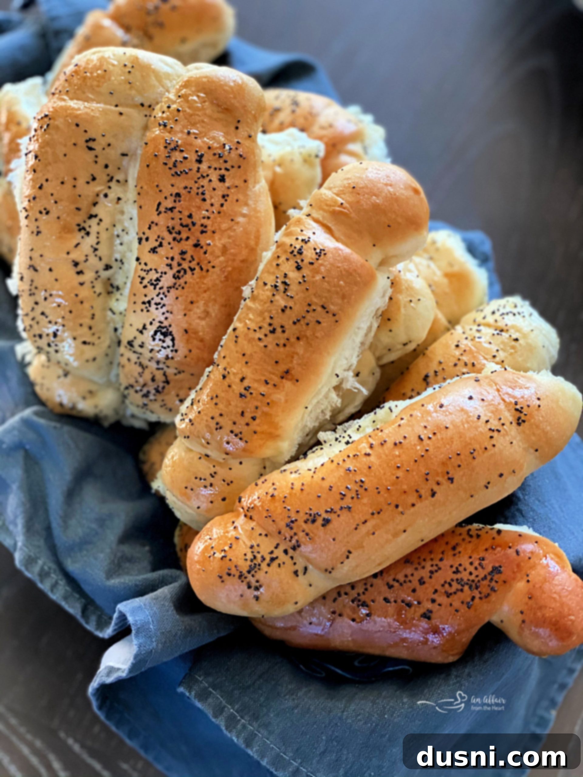 featured 19925 scaled