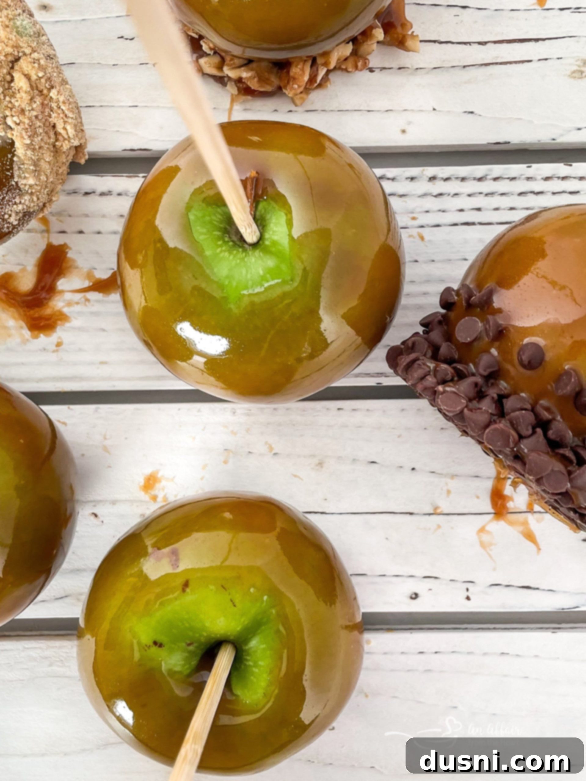 featured 23095 scaled