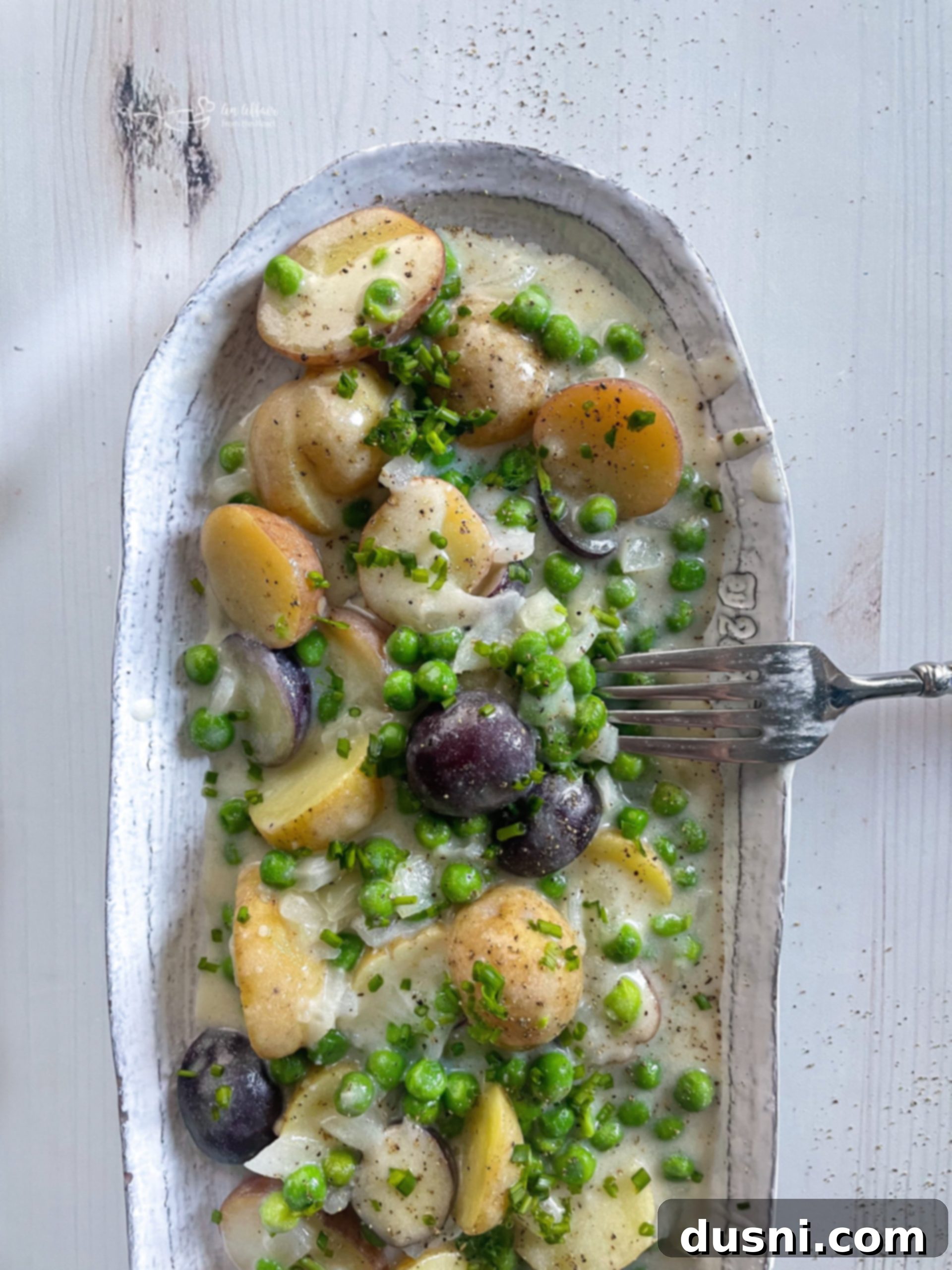 featured 23630 scaled