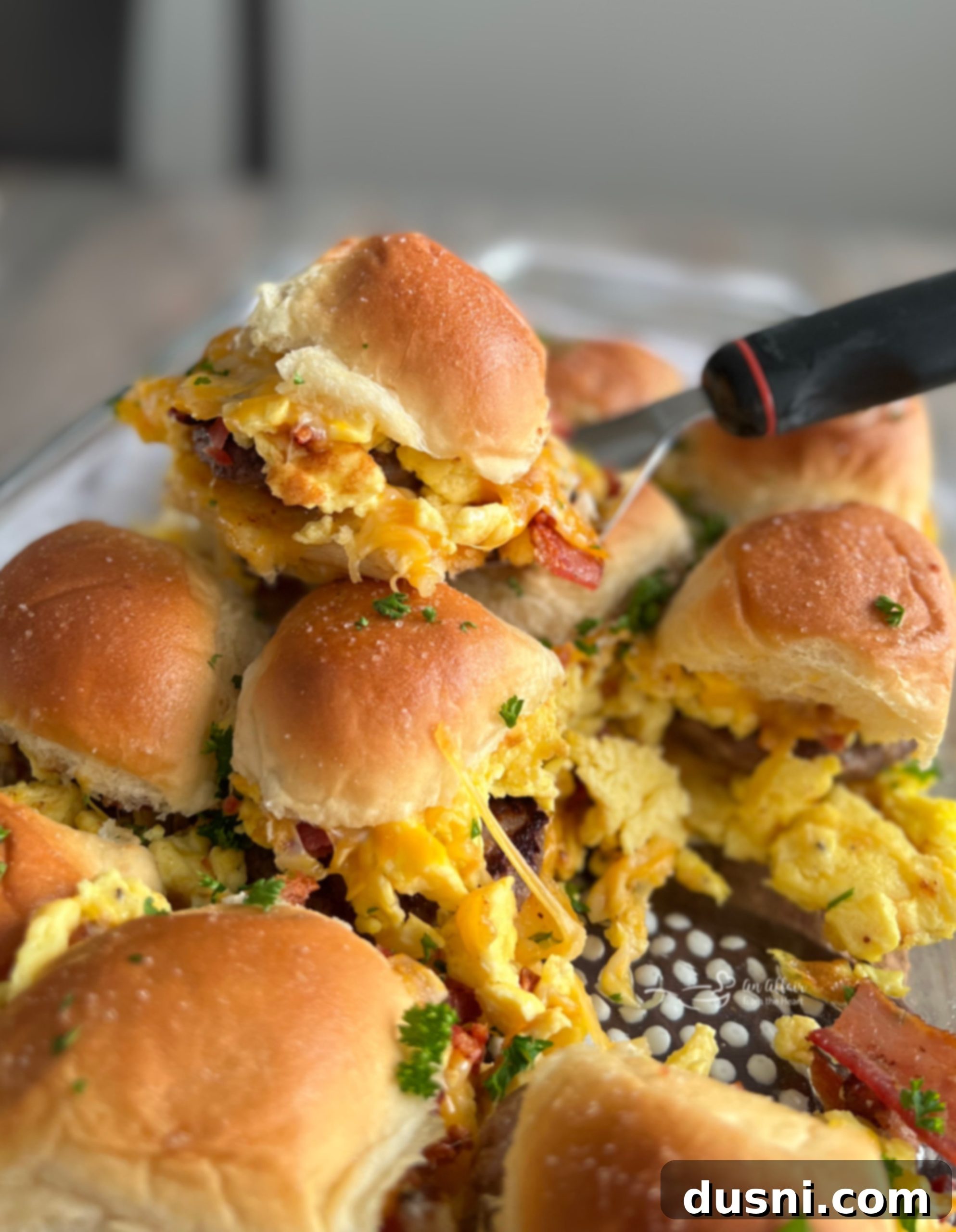 featured 25901 scaled