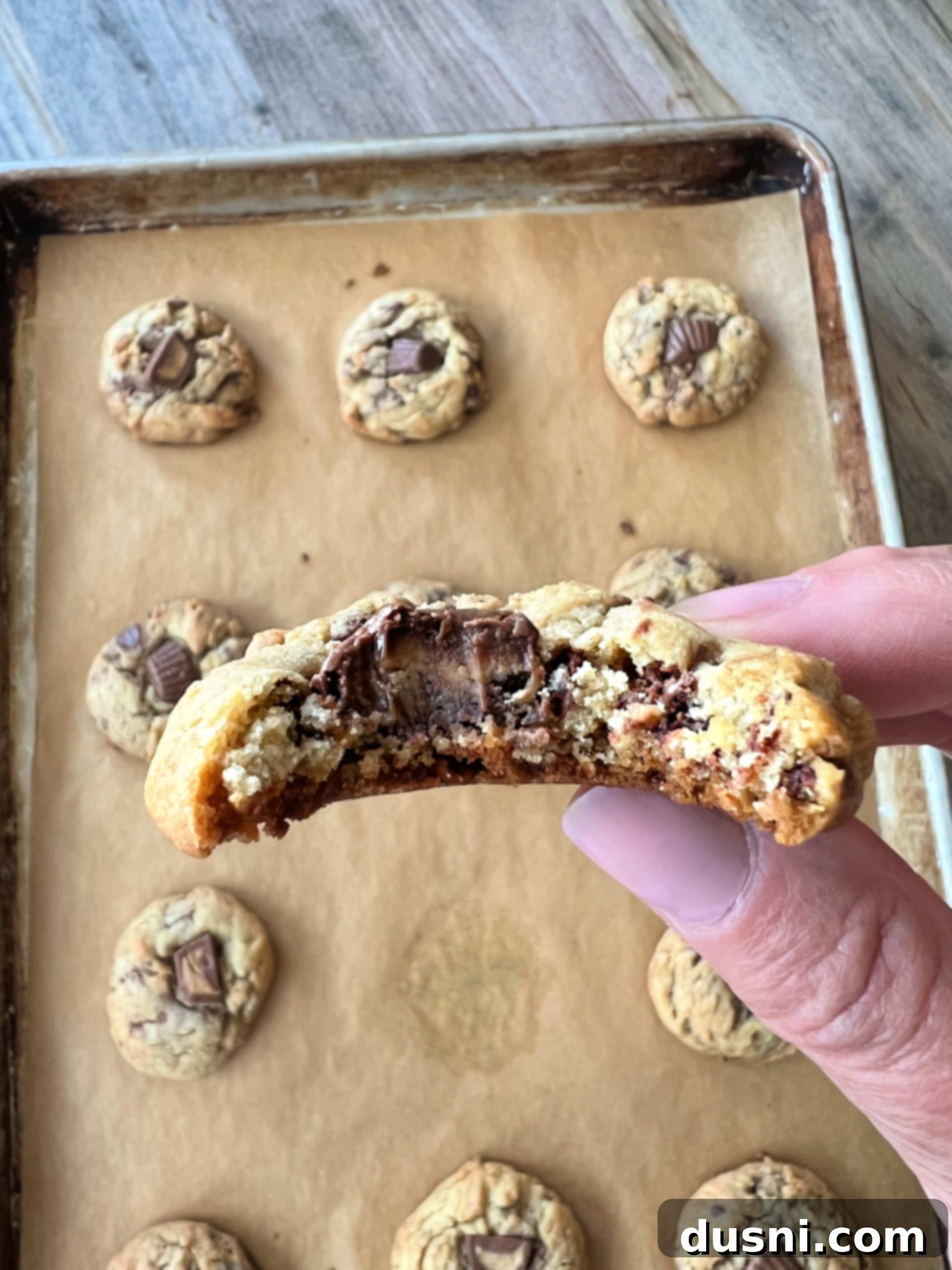 featured 31577 scaled