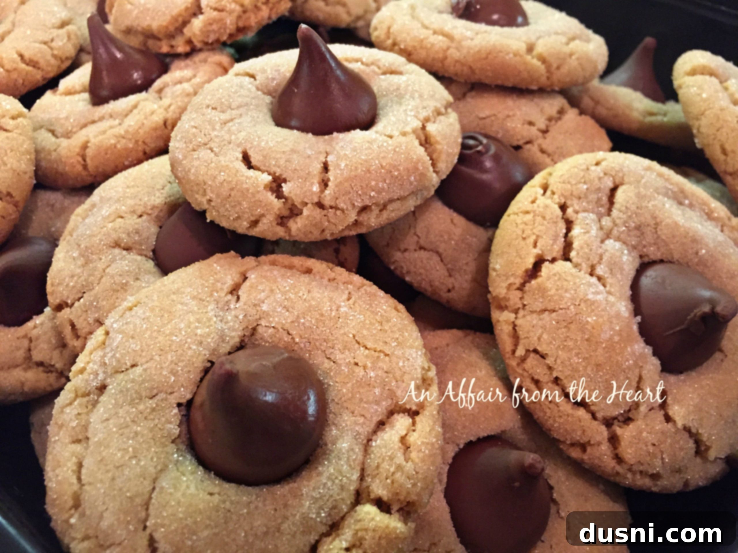 featured 3312 scaled