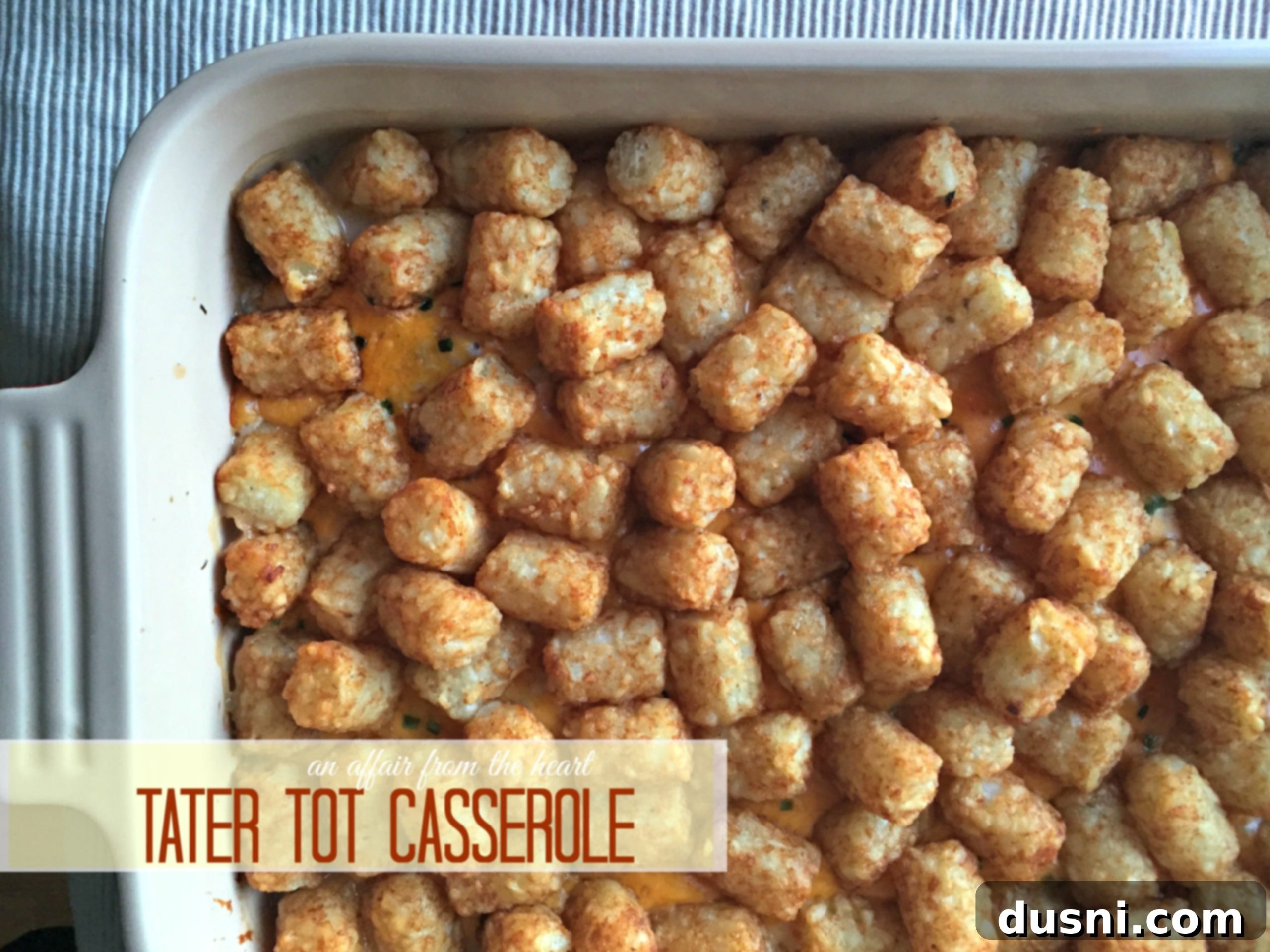 featured 3376 scaled