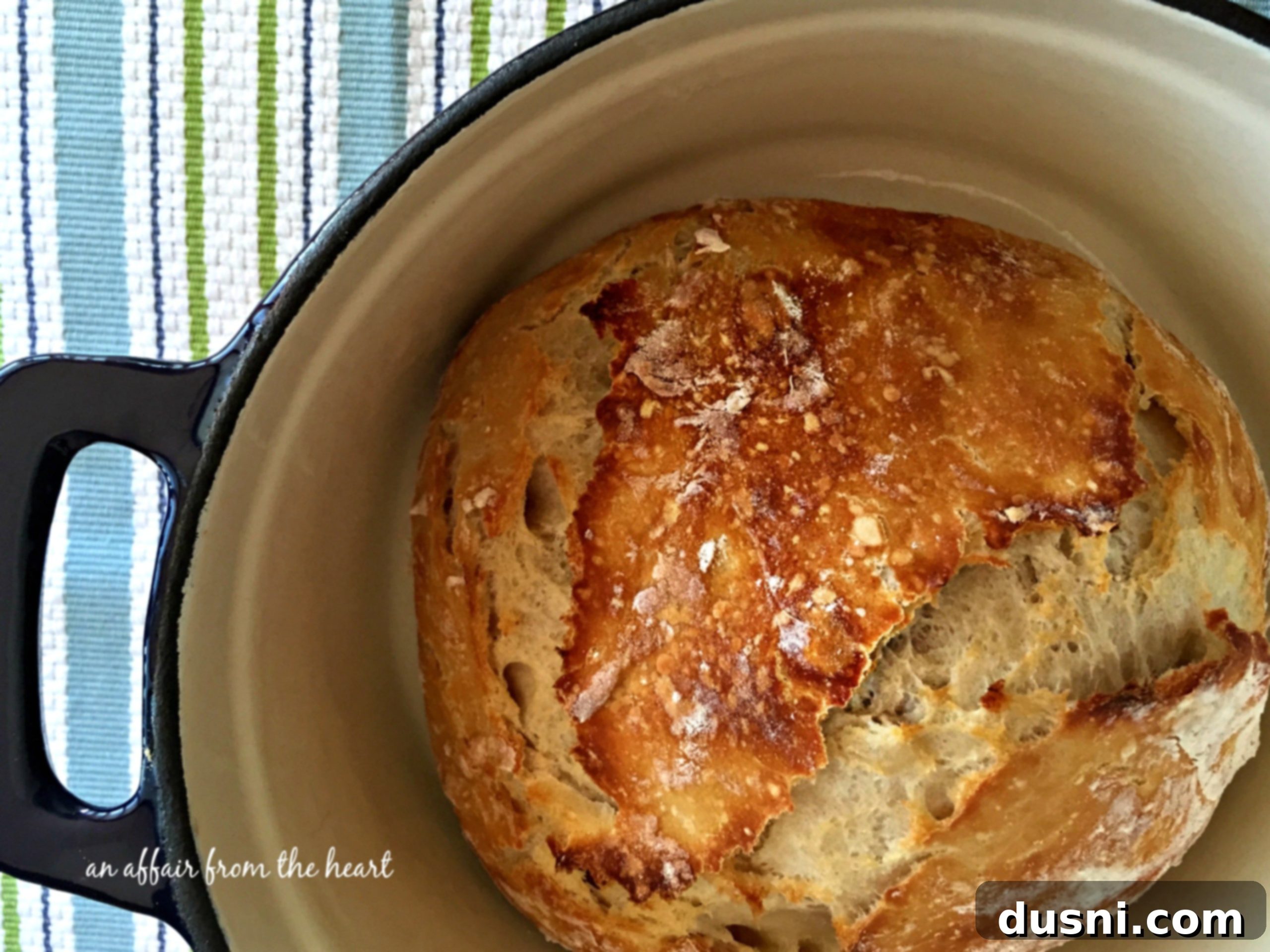 featured 4009 scaled