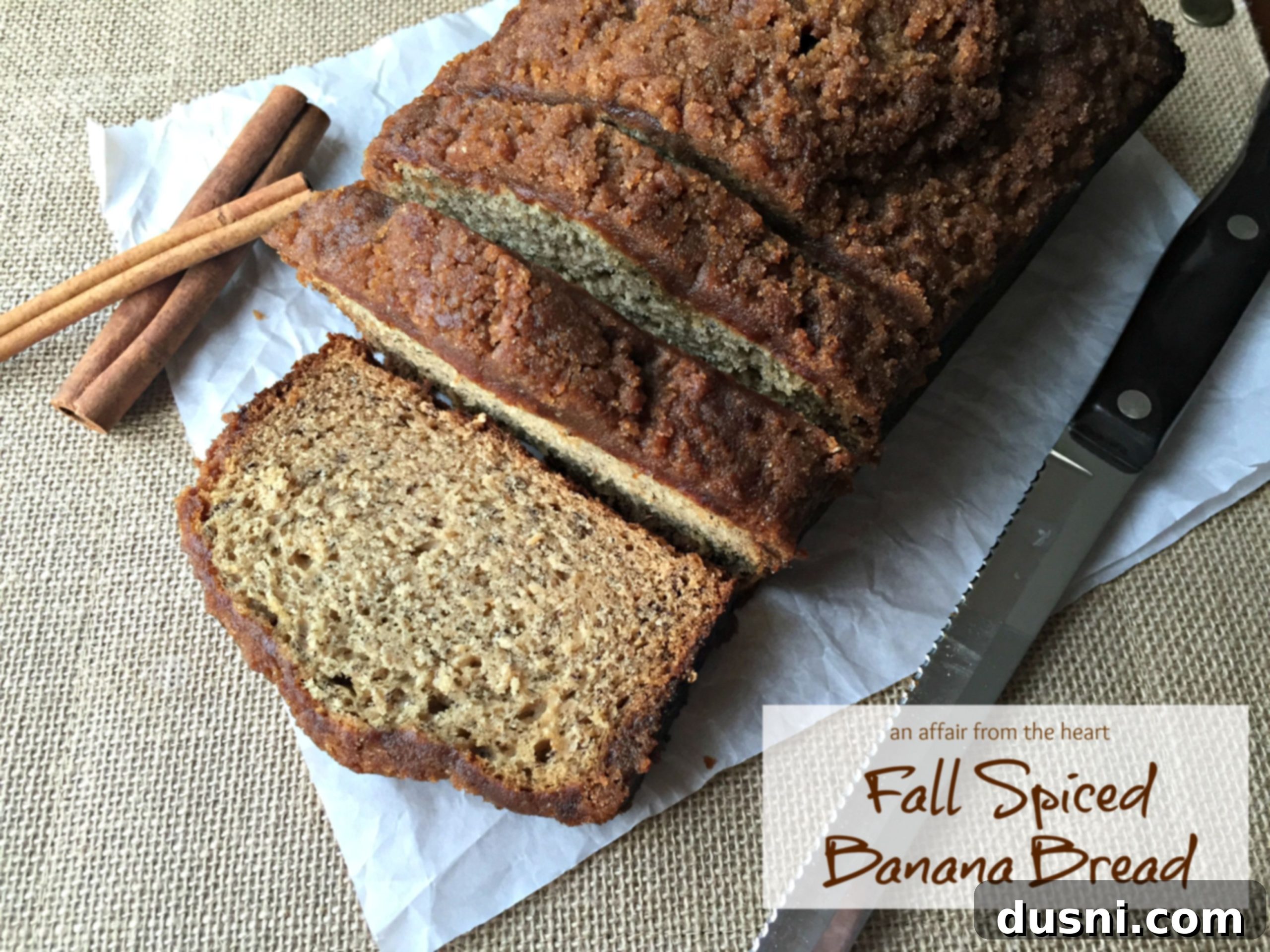 featured 5019 scaled