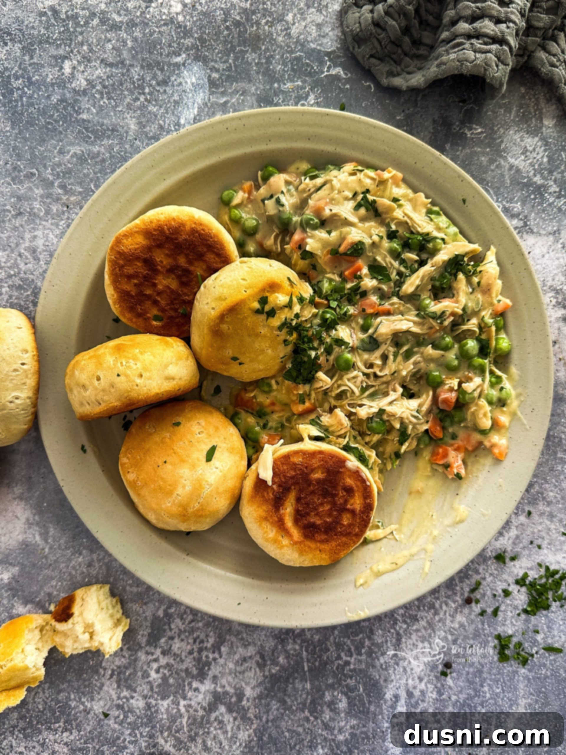 featured 7079 scaled