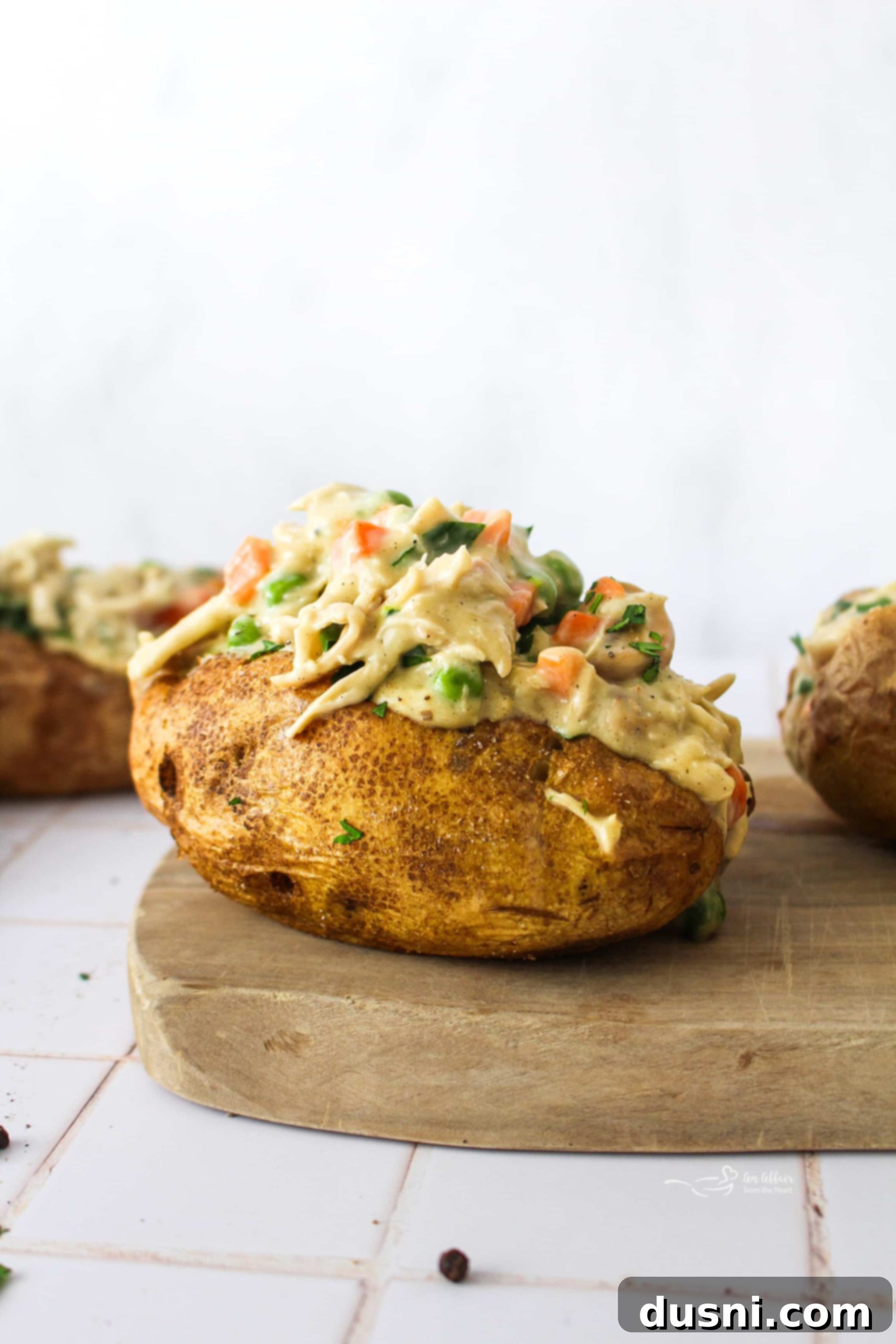 featured 7101 scaled