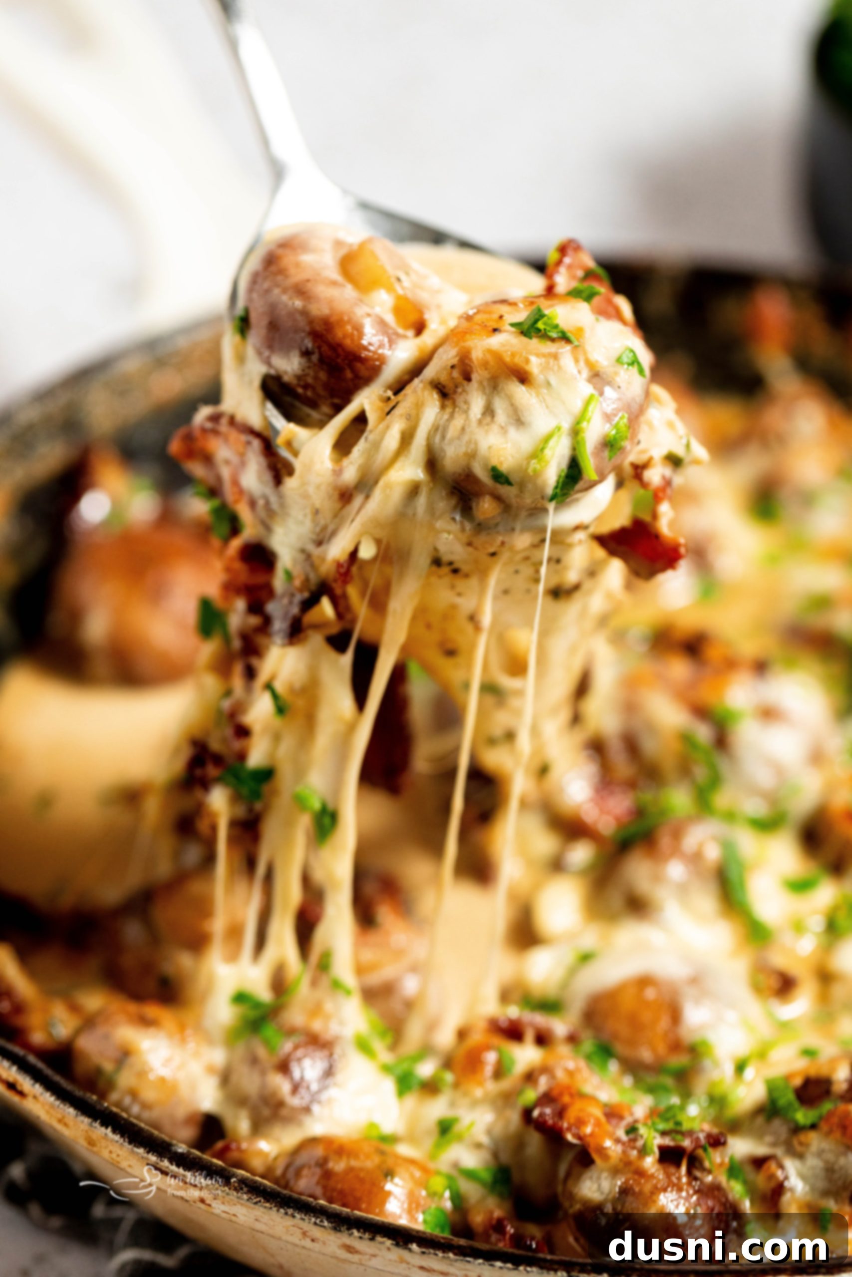 featured 84275 scaled