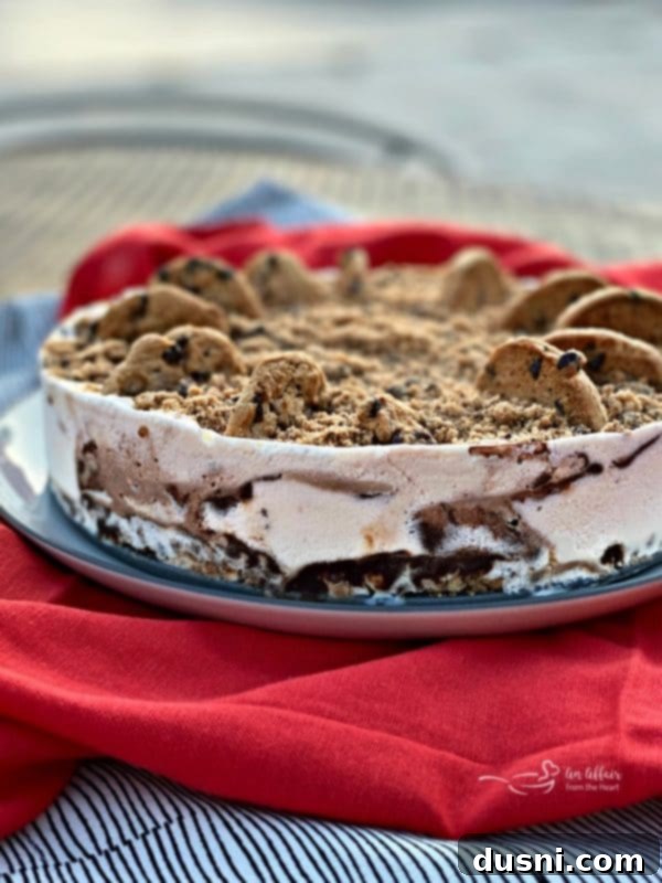 Ultimate Chocolate Chip Cookie Dough Ice Cream Cake 2 Side view of a beautiful Chocolate Chip Cookie Dough Ice Cream Cake with layers visible.
