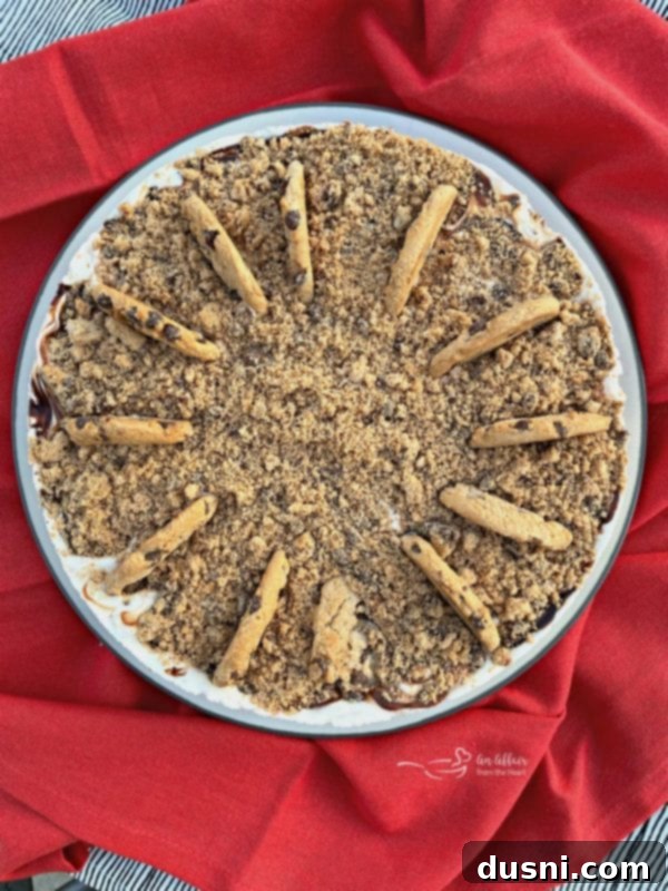 Ultimate Chocolate Chip Cookie Dough Ice Cream Cake 9 Top-down view of Chocolate Chip Cookie Dough Ice Cream Cake with hot fudge swirls.