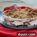 Ultimate Chocolate Chip Cookie Dough Ice Cream Cake 13 Side view of the chocolate chip cookie dough ice cream cake
