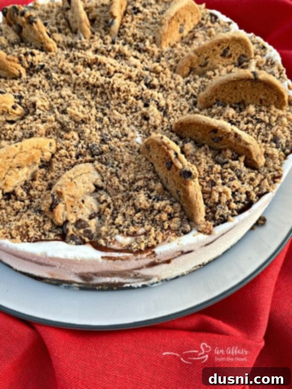 Ultimate Chocolate Chip Cookie Dough Ice Cream Cake 6 Close-up side view of Chocolate Chip Cookie Dough Ice Cream Cake with cookie pieces.