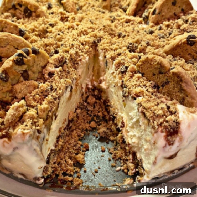 Ultimate Chocolate Chip Cookie Dough Ice Cream Cake 8 Cross-section of the Chocolate Chip Cookie Dough Ice Cream Cake showing the crumb crust.