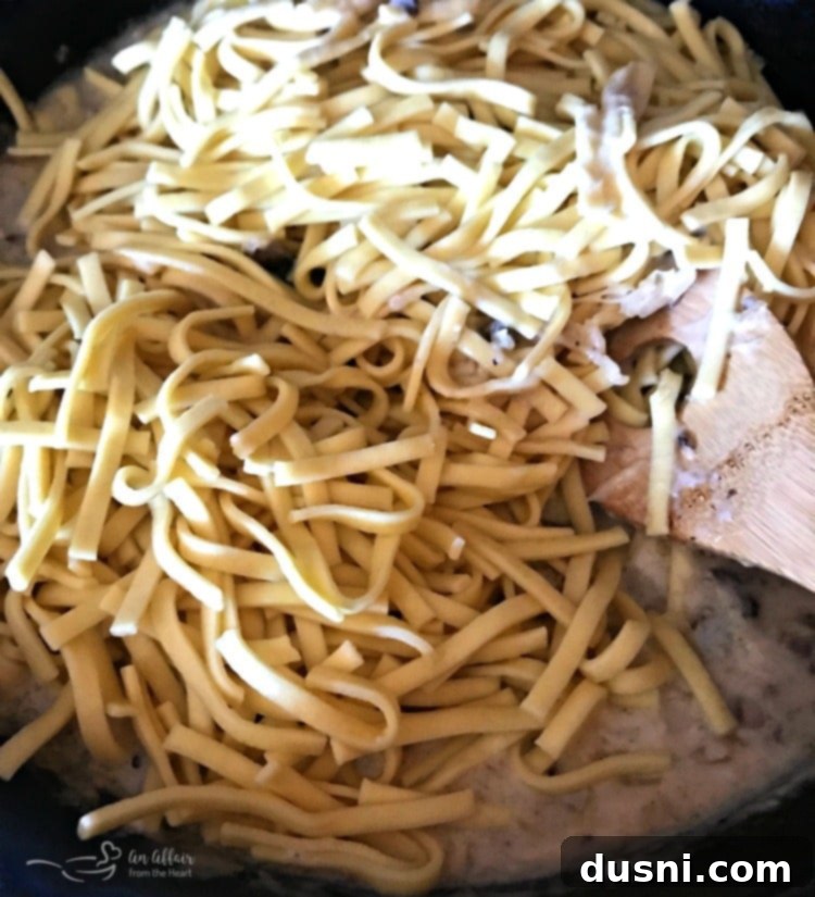 Velvety Kraut and Mushroom Noodles 7 Creamy Kraut & Mushroom Noodles - An Affair from the Heart