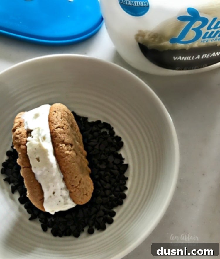 Easy 3-Ingredient Peanut Butter Cookies 7 Homemade peanut butter cookie ice cream sandwiches, rolled in mini chocolate chips and ready to be frozen.