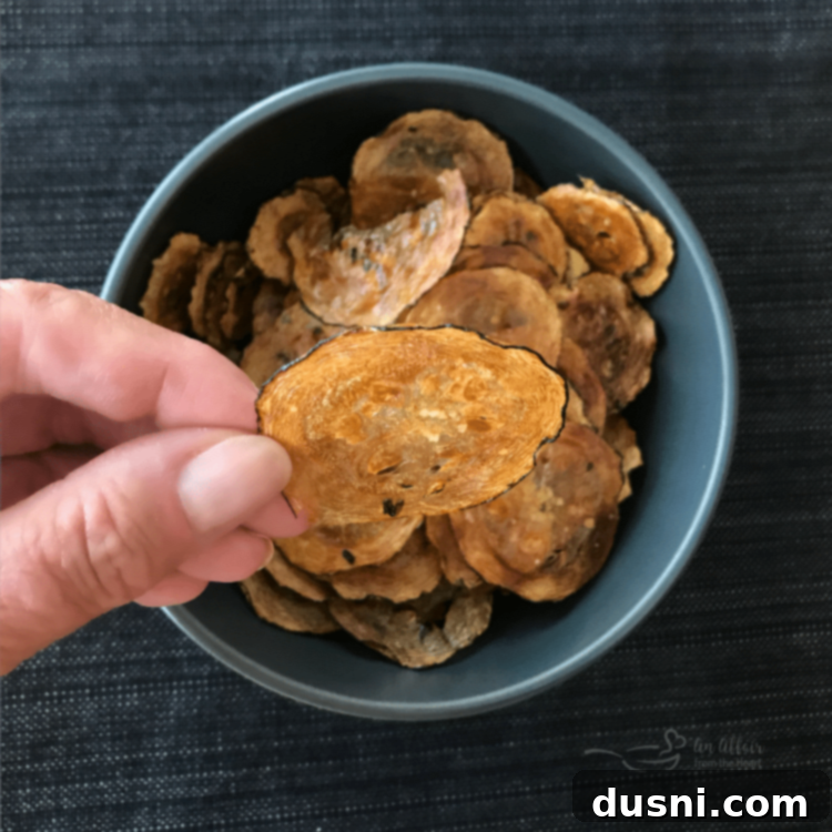 Italian Style Baked Zucchini Chips, close up in a bowl