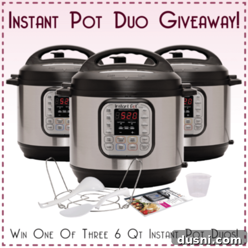 Instant Pot Duo 6-Quart Pressure Cooker, a versatile kitchen appliance