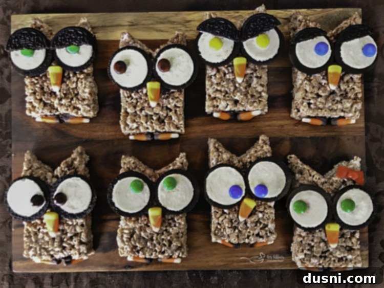 A charming collection of finished Cocoa Krispy Owls