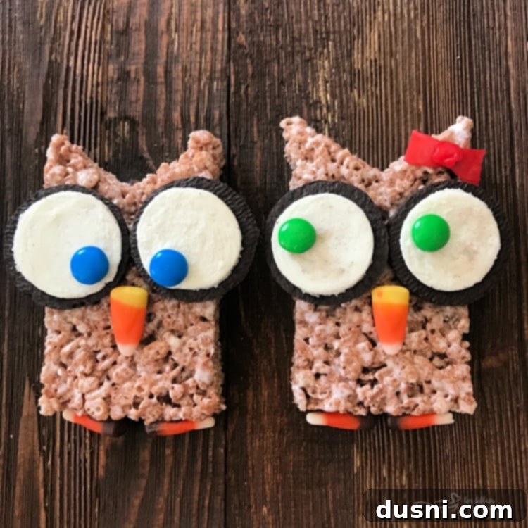 A particularly charming Cocoa Krispy Owl with a fruit roll-up bow