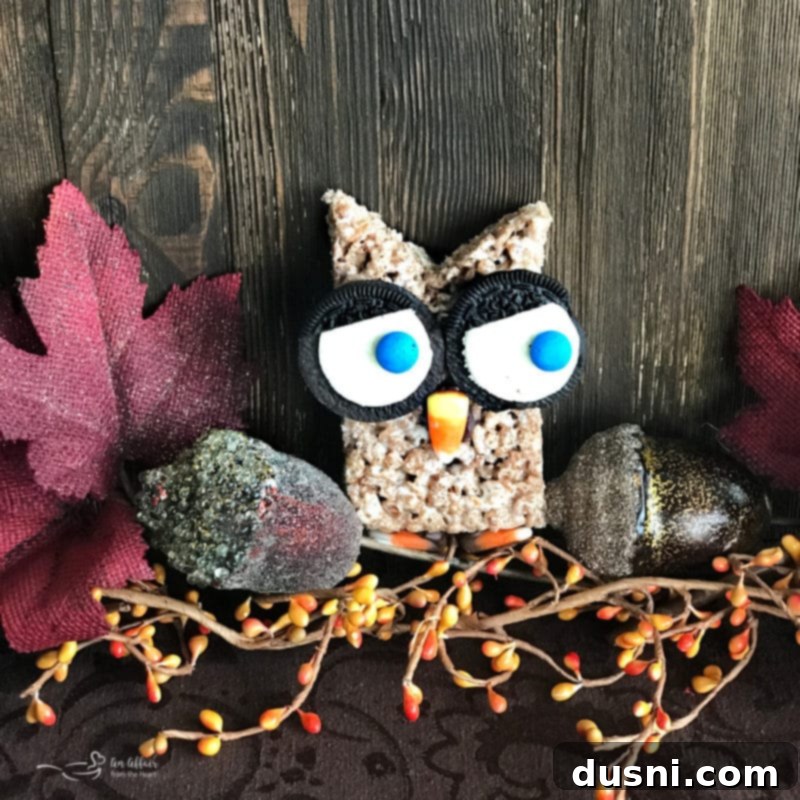 Video thumbnail for Cocoa Krispy Owls tutorial