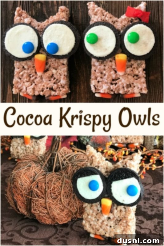 Close-up of a finished Cocoa Krispy Owl treat