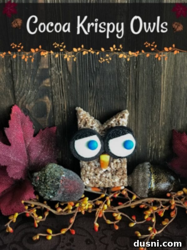 Hero shot of Cocoa Krispy Owls for Halloween