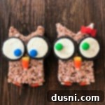 2 Cocoa Krispy Owls on a wood surface