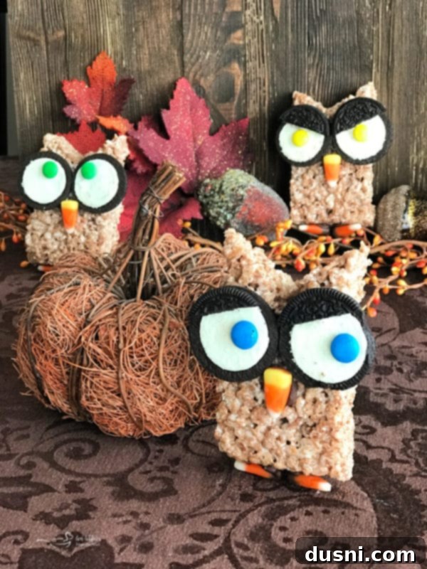 Another perspective of Cocoa Krispy Owls