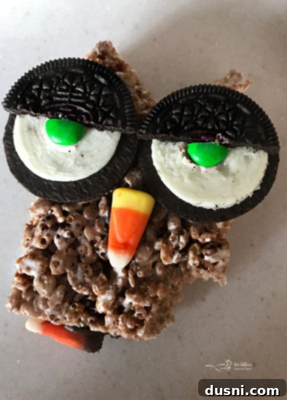 A Cocoa Krispy Owl with a bite taken out, showing its delicious interior