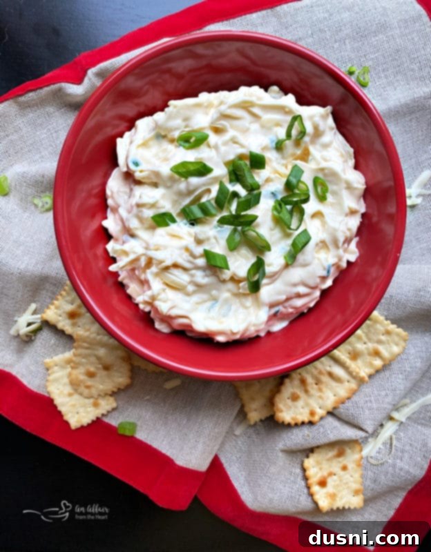 A vibrant red bowl filled with creamy Swiss Cheese Dip, garnished with fresh green scallions, surrounded by an assortment of crackers and colorful vegetables.