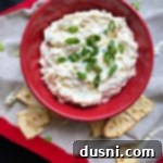 Overhead shot of a red bowl brimming with creamy Swiss cheese dip, garnished with chopped green onions.