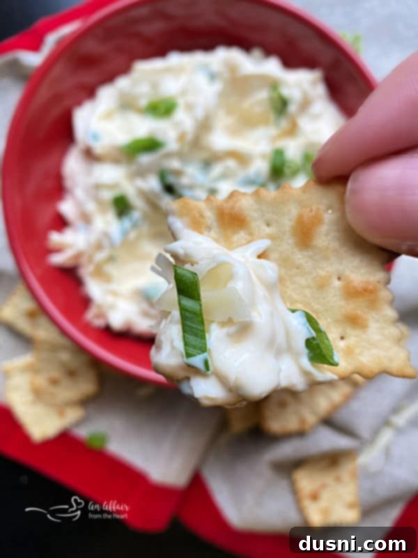 Close-up overhead shot of Swiss Cheese Dip, showcasing its creamy texture and visible shreds of cheese, ready to be scooped.