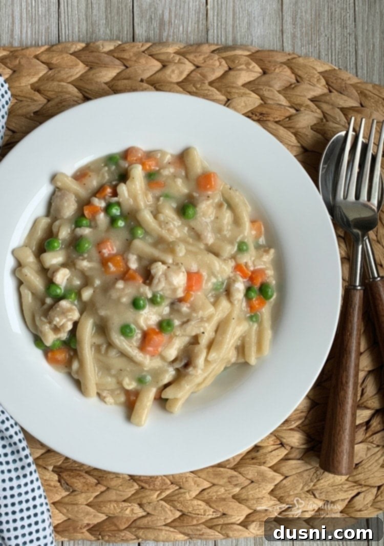 20 Minute Chicken & Noodles – Quick and Easy Comfort Food Recipe