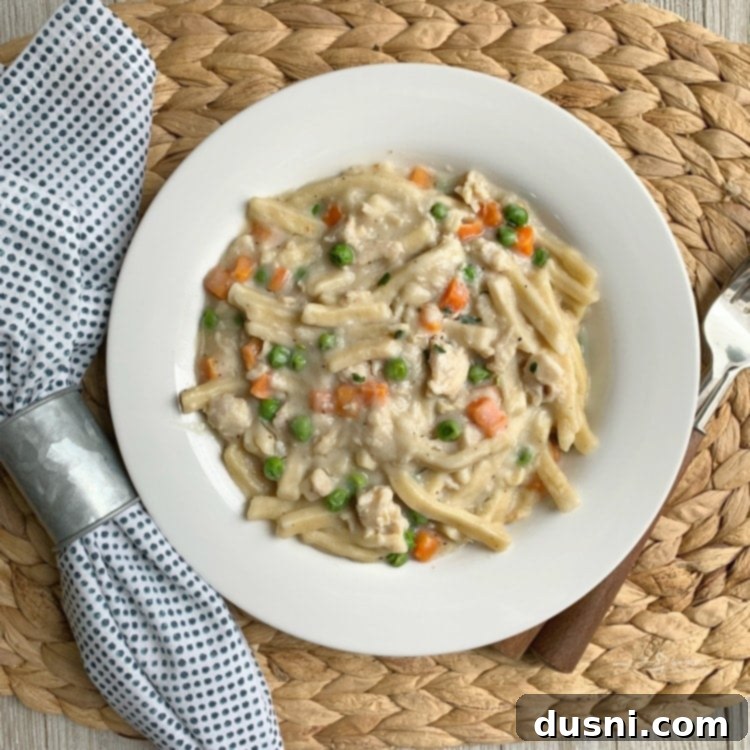 Square image of 20 Minute Chicken & Noodles