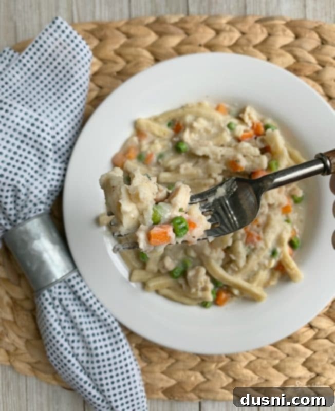 Close up bite of 20 Minute Chicken & Noodles