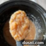 Homemade Slow Cooker Cinnamon Applesauce 15 cinnamon apple sauce