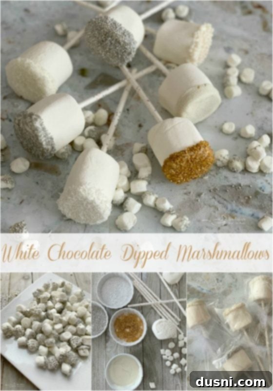 Enchanted Winter Mix 14 Beautifully arranged White Chocolate Dipped Marshmallows by An Affair from the Heart