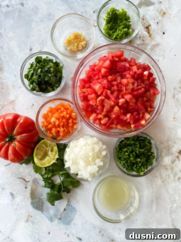 Fresh Tomato Salsa 4 A bowl of fresh Pico de Gallo with tortilla chips
