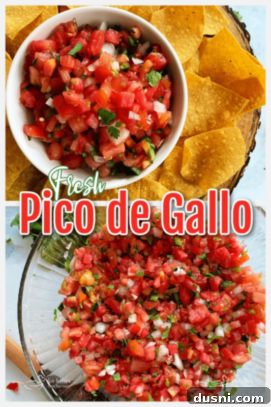 Fresh Tomato Salsa 9 Full bowl of Pico de Gallo with green accents