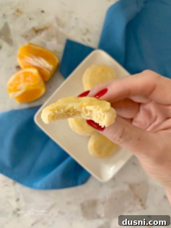 Velvet Orange Dream Cookies 4 Bitten Orange Meltaway Cookie showing its soft interior