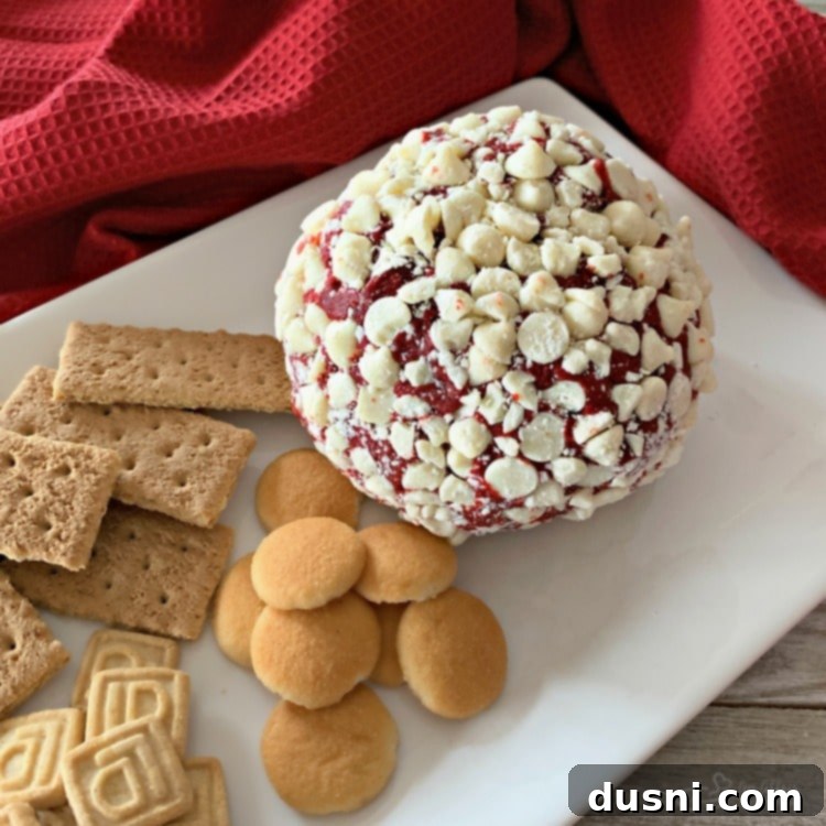 Crimson Velvet Cheese Bomb 7 Red Velvet Cheese Ball served with an assortment of dippers like graham crackers and cookies.