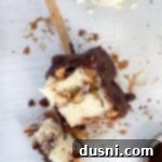 Top view of Homemade Buster Bars