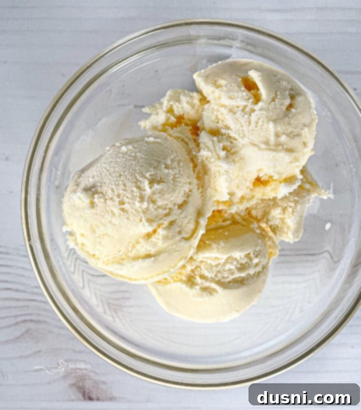One bowl of creamy vanilla ice cream, ready for Buster Bars