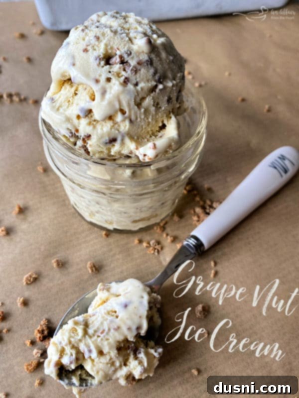 Grape-Nut Crunch Dream 10 A vibrant bowl of Grape Nut Ice Cream ready to be enjoyed.