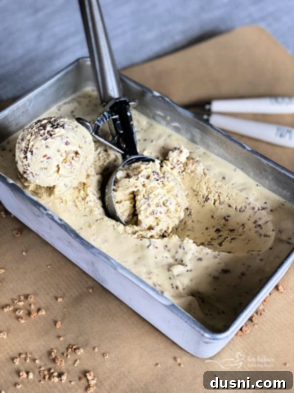 Grape-Nut Crunch Dream 4 Grape Nut Ice Cream in a bowl with a spoon.