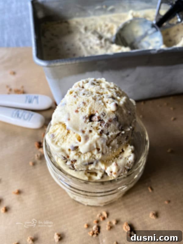 Grape-Nut Crunch Dream 7 A close-up of Grape Nut Ice Cream with visible cereal pieces.