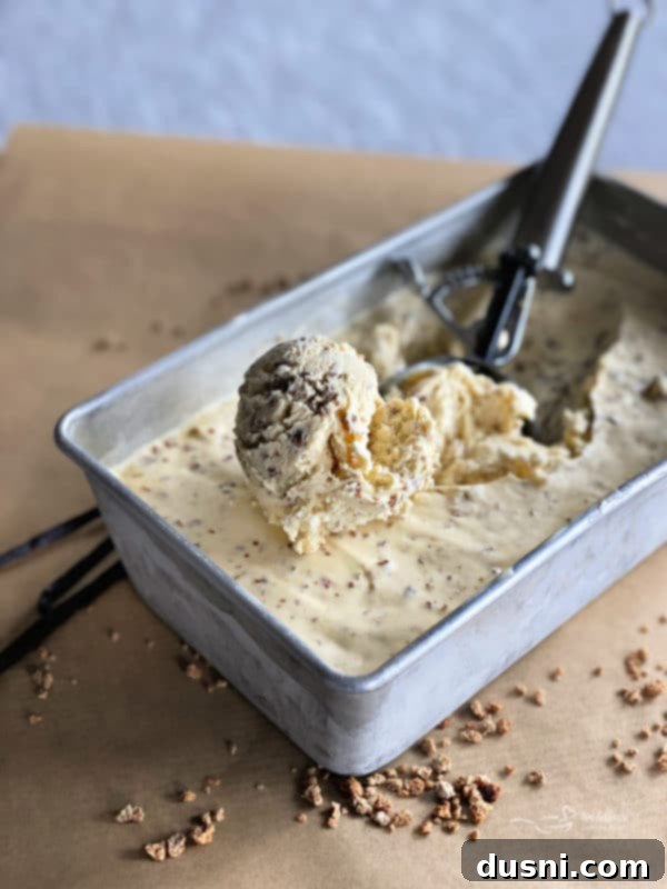 Grape-Nut Crunch Dream 8 Two scoops of Grape Nut Ice Cream in a bowl.