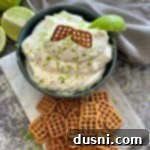 Ultimate Margarita Pretzel Dip 14 Overhead of Margarita Dip with Salted Pretzels