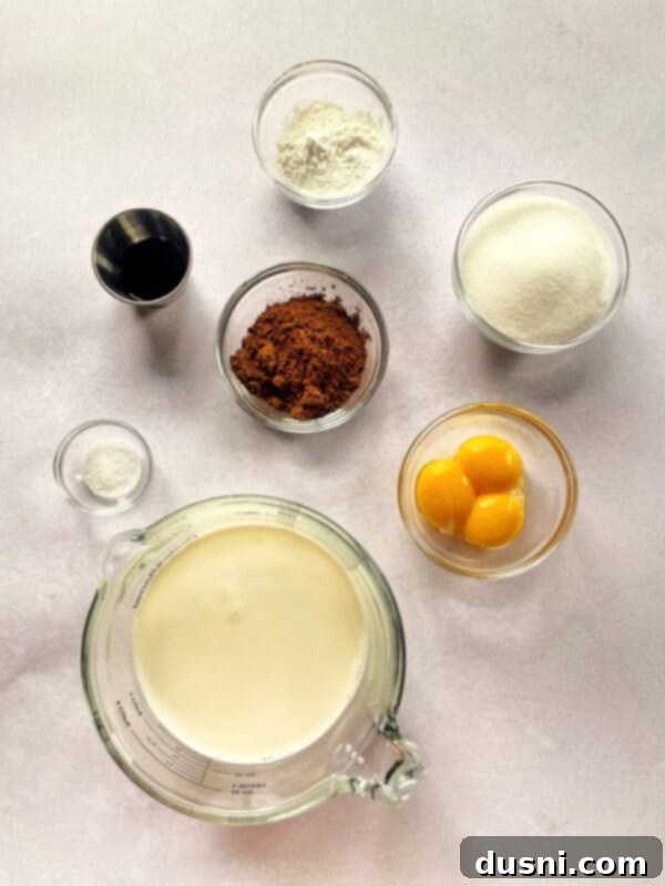 Ingredients for chocolate meringue pie laid out on a table, including eggs, sugar, cocoa, and milk.