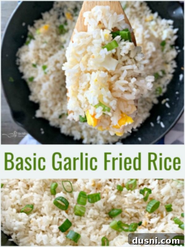 Effortless Garlic Fried Rice 3 Basic Garlic Fried Rice - An Affair from the Heart